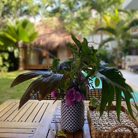 Luxury Private Villas , Private Pool, Private Garden, Jacuzzi, 24Hours Security Тулум Экстерьер фото