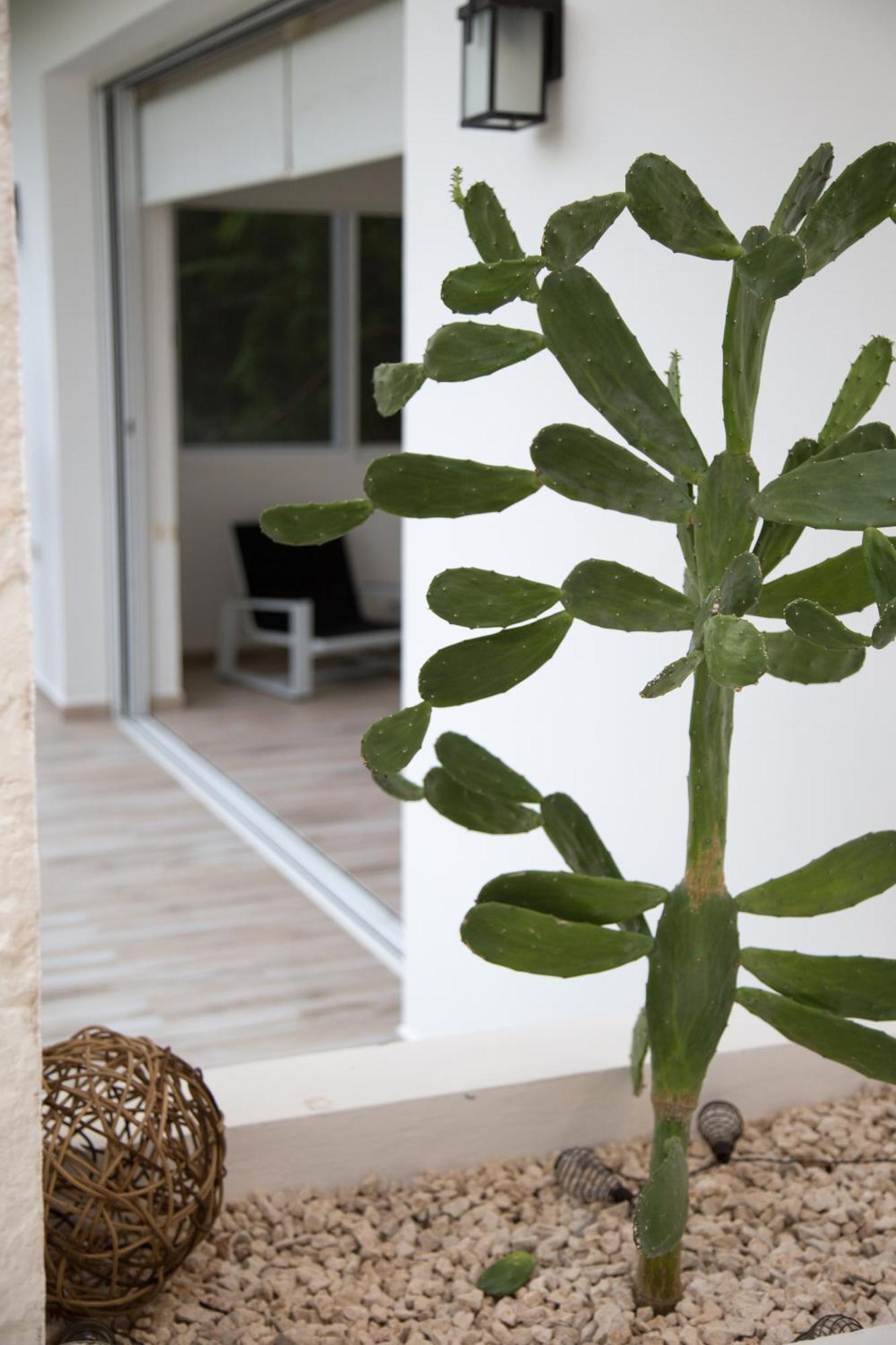 Luxury Private Villas , Private Pool, Private Garden, Jacuzzi, 24Hours Security Тулум Номер фото
